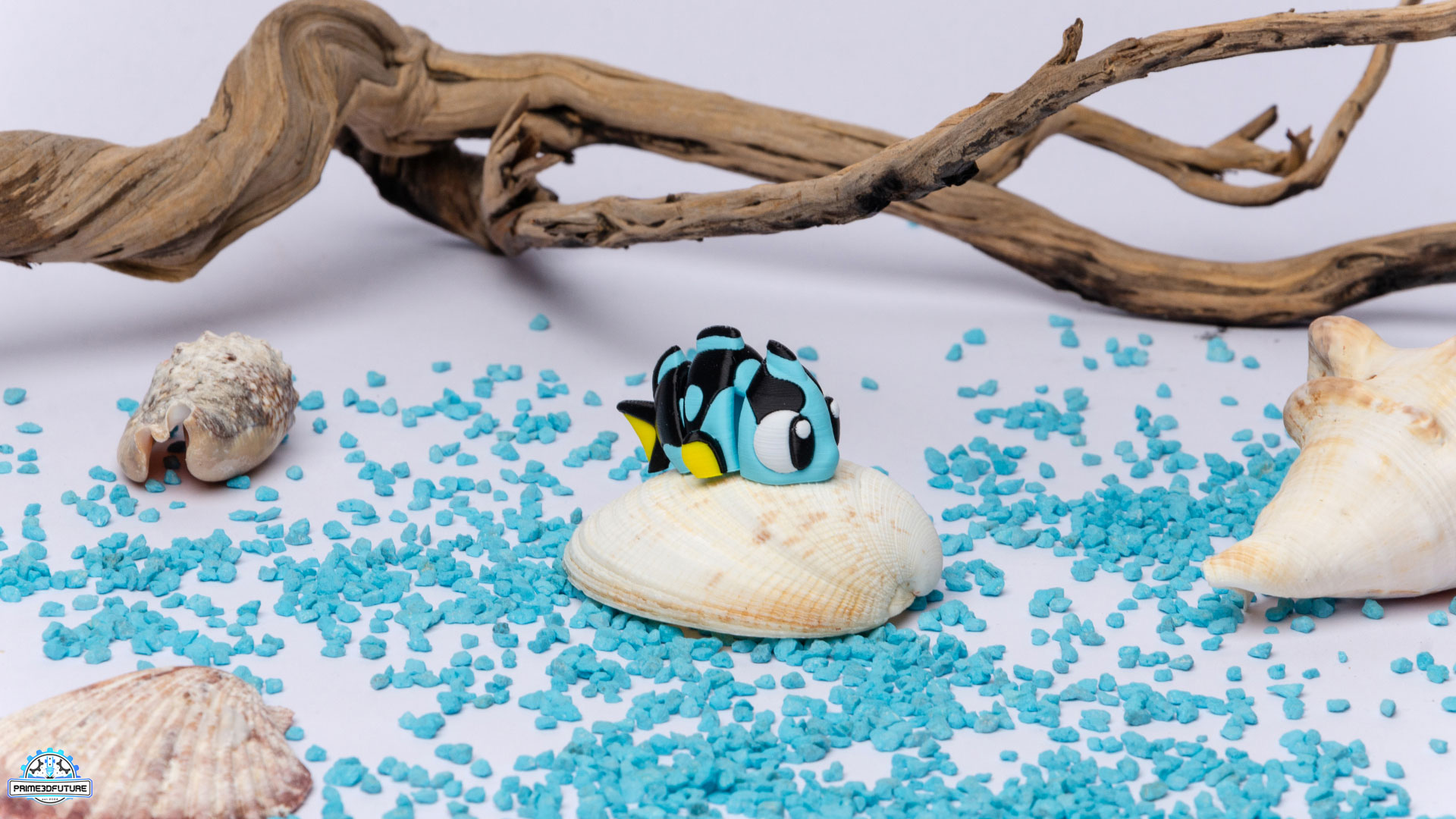 Fidget Παιχνίδι "Tropical Surgeon Fish"