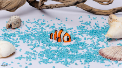 Fidget Παιχνίδι "Tropical Clown Fish"