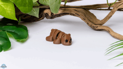 Fidget Παιχνίδι "Baby Bear"