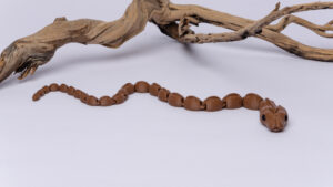 Fidget Παιχνίδι “Cinder Snake”