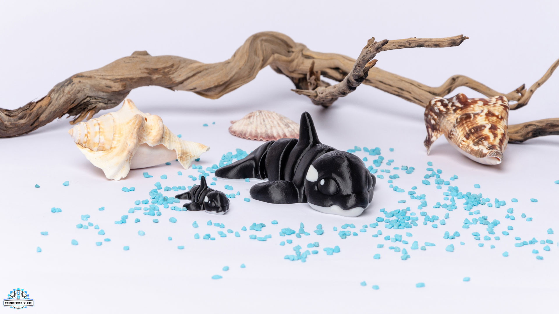 Fidget Παιχνίδι "Orca Hatchling"