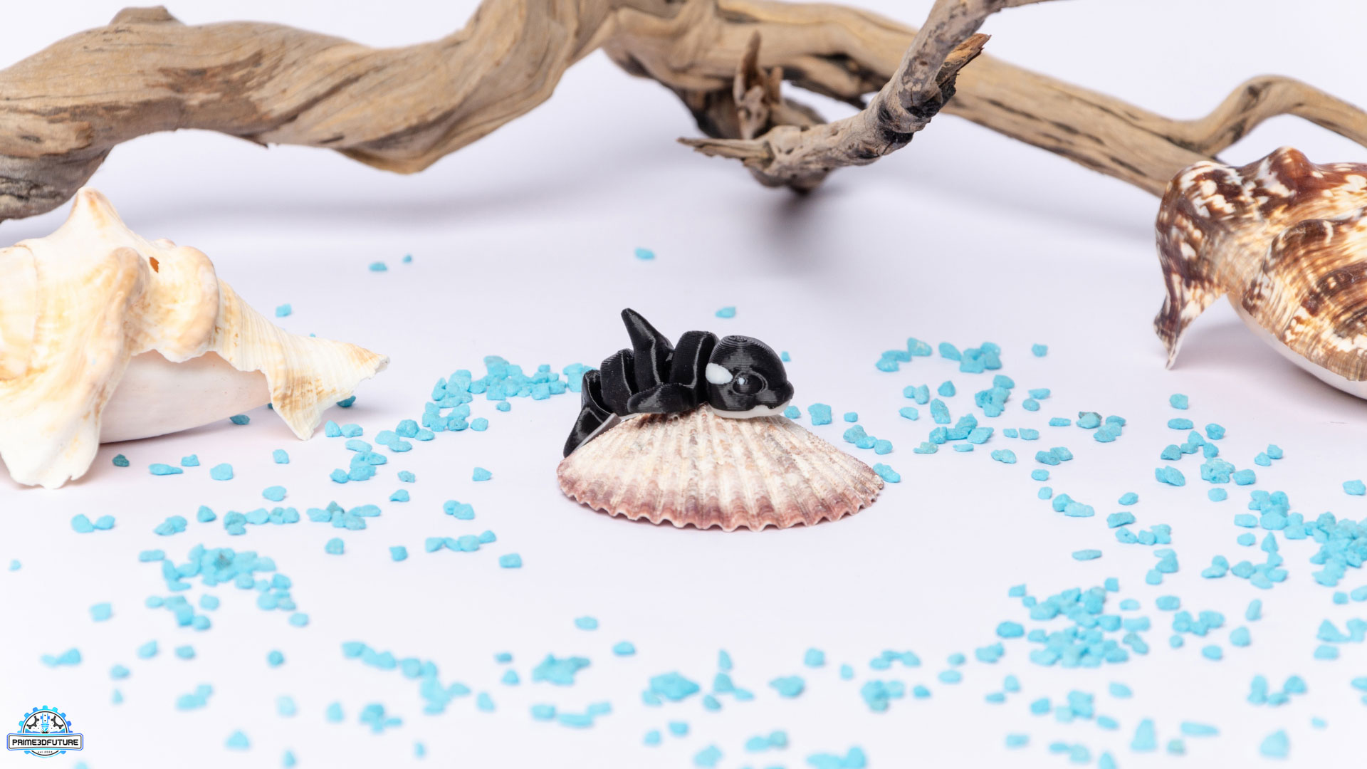 Fidget Παιχνίδι "Orca Hatchling" - Image 3